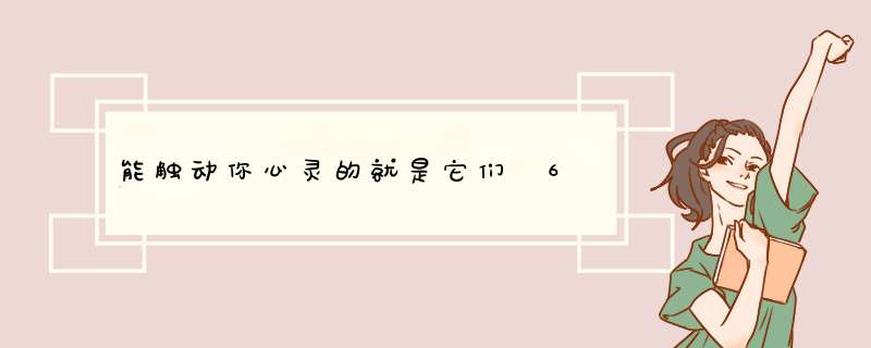 能触动你心灵的就是它们 6